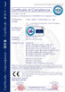 Trung Quốc Jinan Leetro Technology Co., Ltd. Chứng chỉ